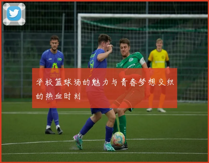 学校篮球场的魅力与青春梦想交织的热血时刻